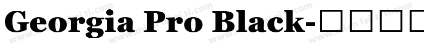 Georgia Pro Black字体转换